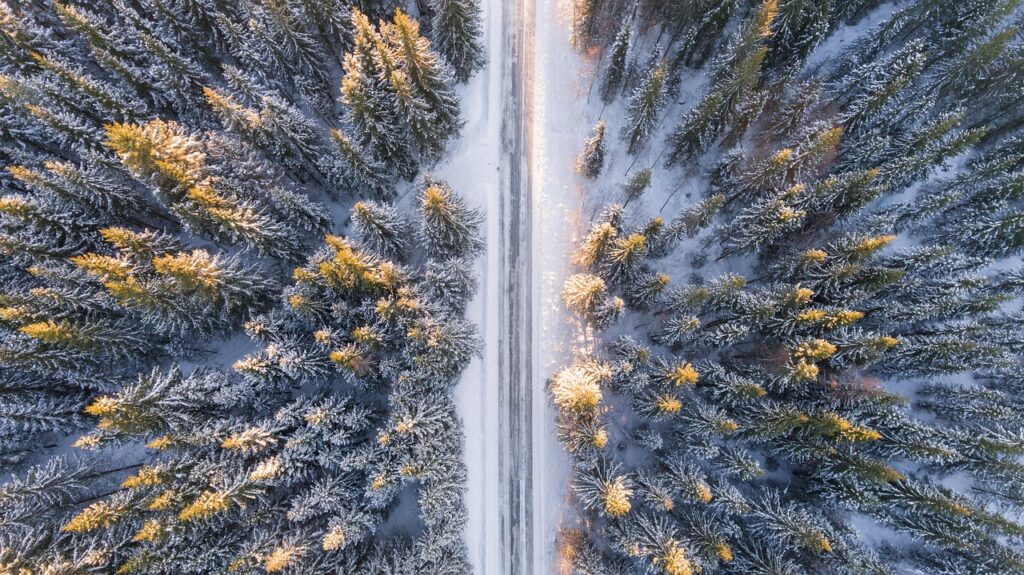 nature, forest, frost, snowy, trees, scenery, road, snow, aerial, winter, season, scenic, environment, travel, outdoors, landscape, adventure, peaceful, discovery, spring, aerial photography, road, winter, travel, travel, travel, travel, travel, adventure