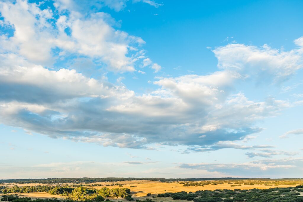 Franktown Colorado Ranch view
