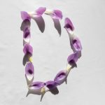 Pole Barn Builder Serving Douglas County Colorado